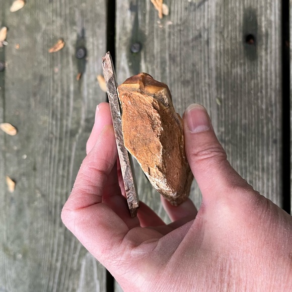 Petrified Wood 2 Piece Set - Picture 3 of 16